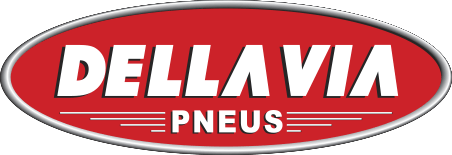 Logo Dellavia